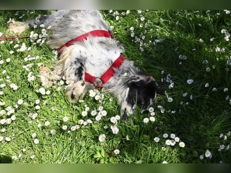 Toby - NOTFALL - Wenn die Welt plötzlich still und dunkel wird