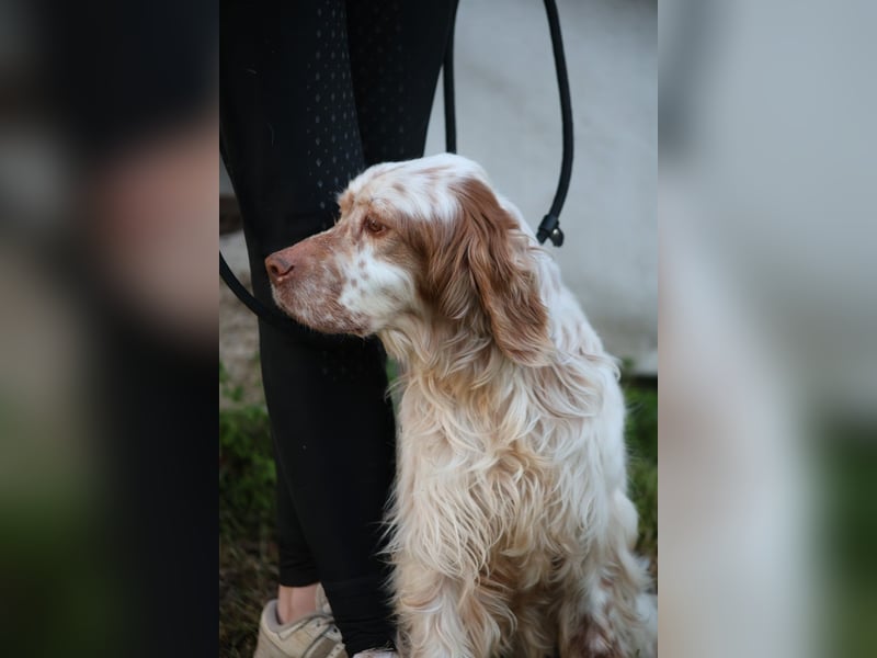 Beto - Mehr Braucht man nicht