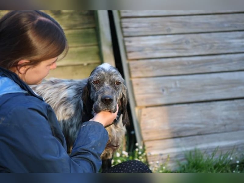 Linda - Und plötzlich kann alles gut werden