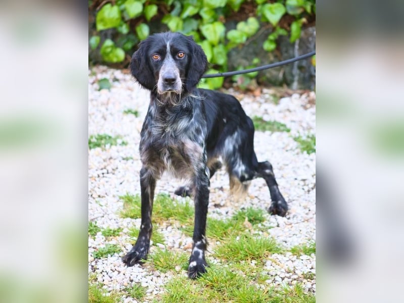 Coca - Zwischen gestern und morgen