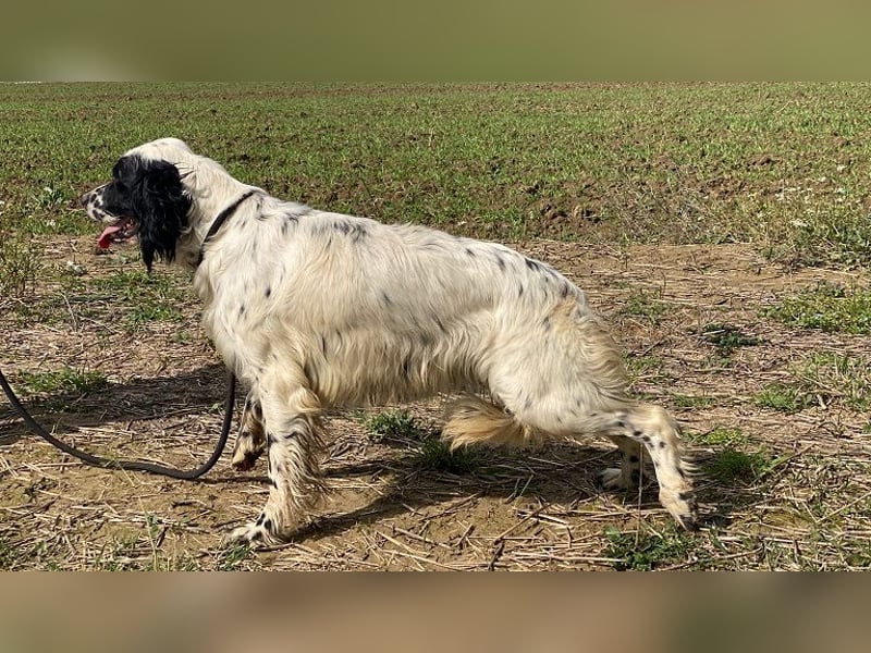 Fola - bereit, die Welt gemeinsam zu entdecken