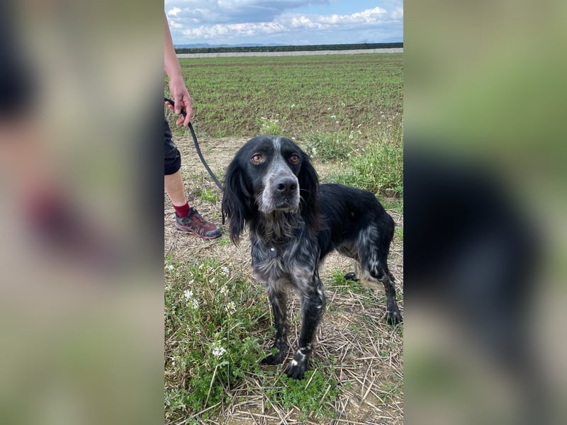 Coca - Zwischen gestern und morgen