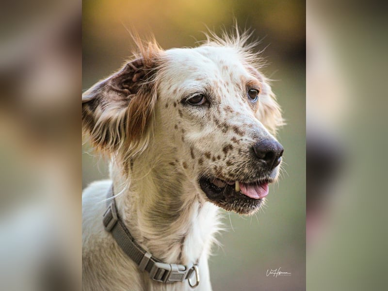 Annette - ein sanftes Huhu!