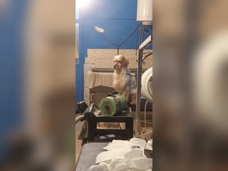 Beto - Mehr Braucht man nicht