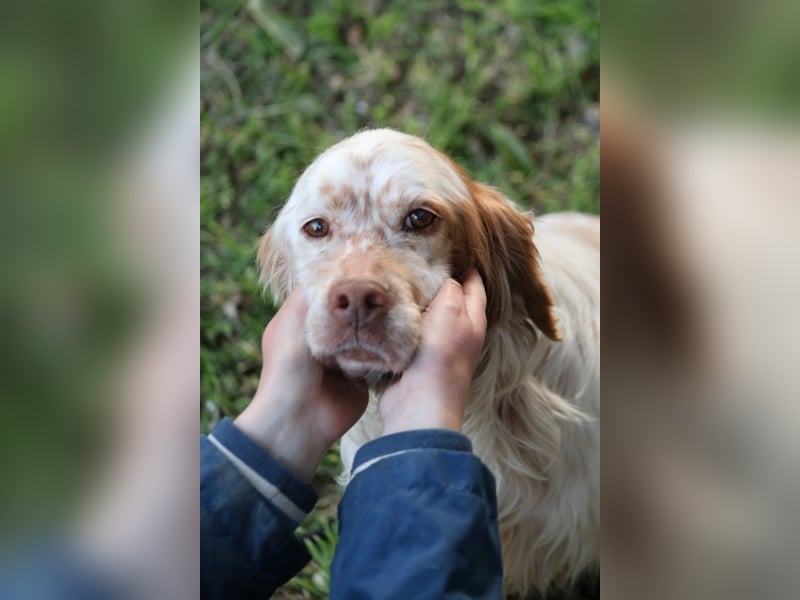 Beto - Mehr Braucht man nicht