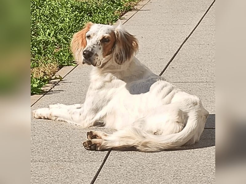 Annette - ein sanftes Huhu!