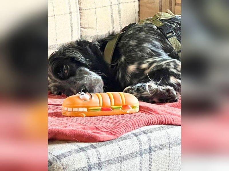 Helvetia - Angst beginnt im Kopf ? Mut auch!