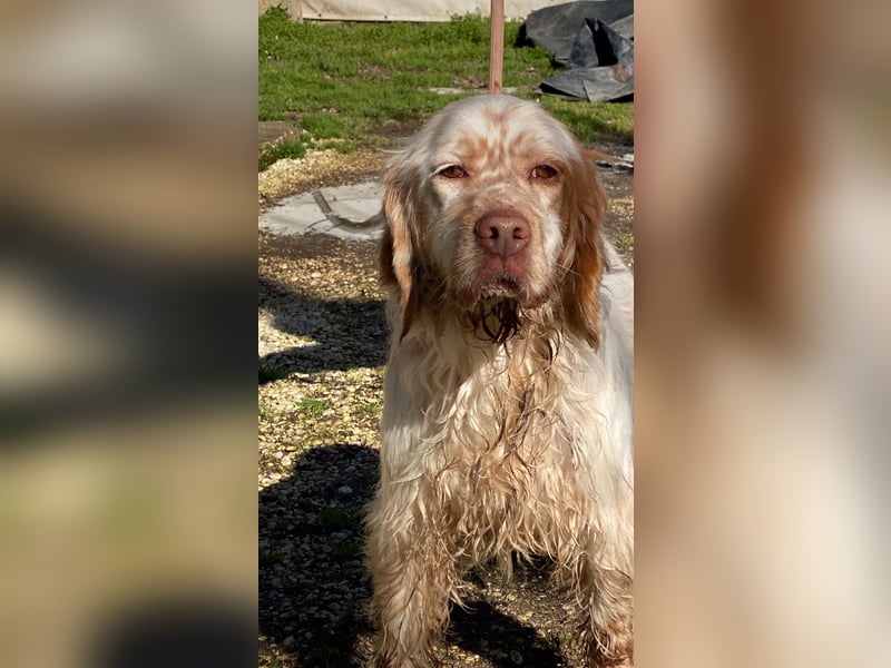 Beto - Mehr Braucht man nicht