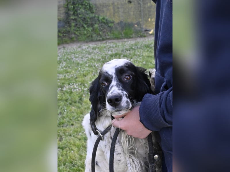 Fola - bereit, die Welt gemeinsam zu entdecken