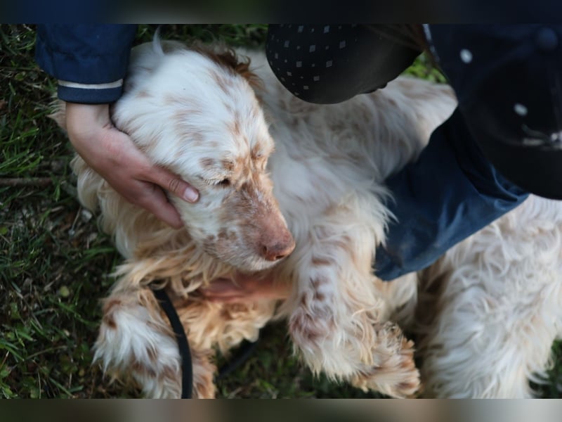 Beto - Mehr Braucht man nicht