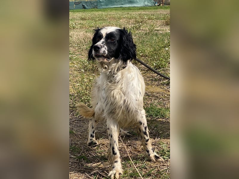 Fola - bereit, die Welt gemeinsam zu entdecken