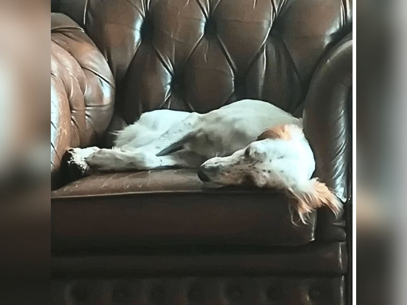 Annette - ein sanftes Huhu!