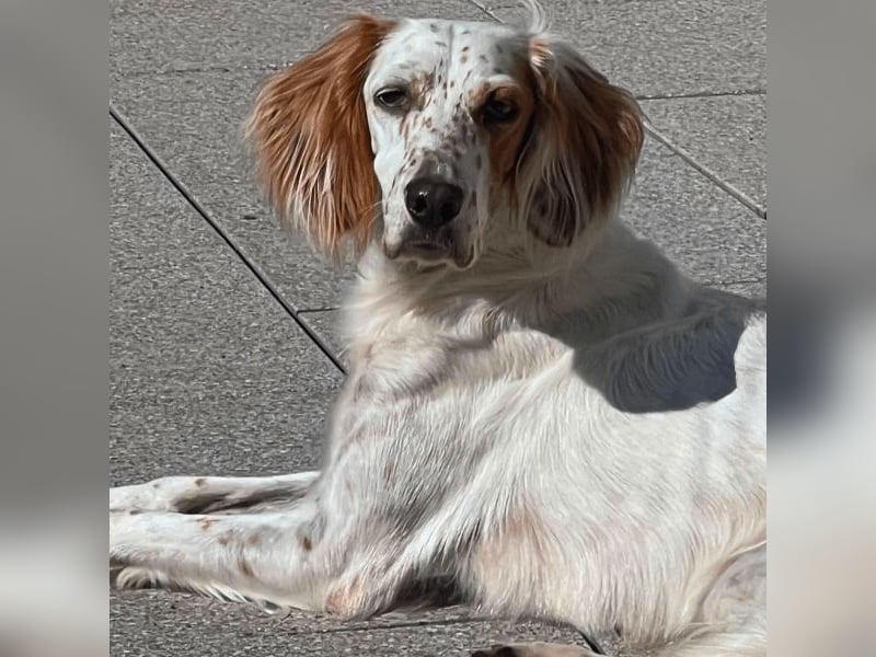 Annette - ein sanftes Huhu!