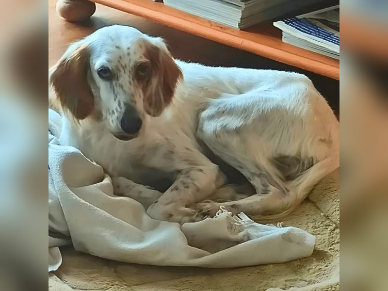 Annette - ein sanftes Huhu!