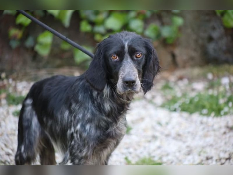 Coca - Zwischen gestern und morgen