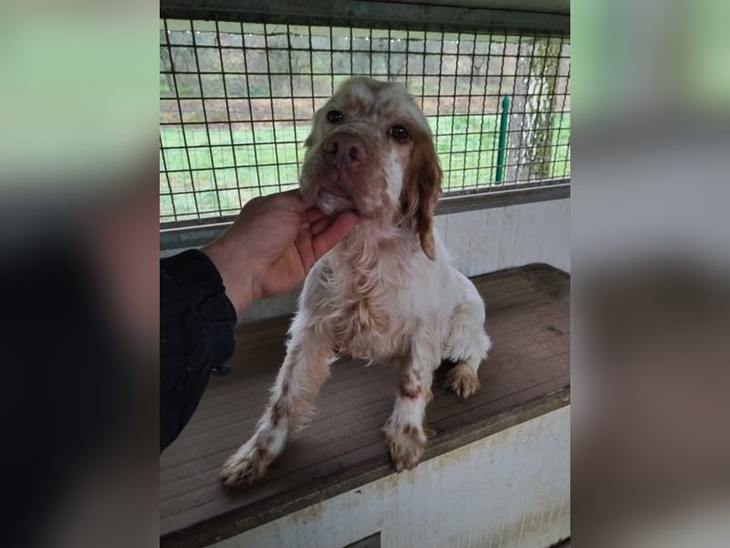 Beto - Eine alte Geschichte, ein neues Kapitel