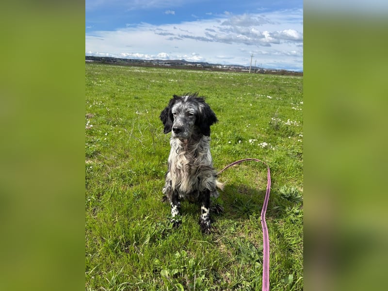 Elettra - Das Leuchten für immer