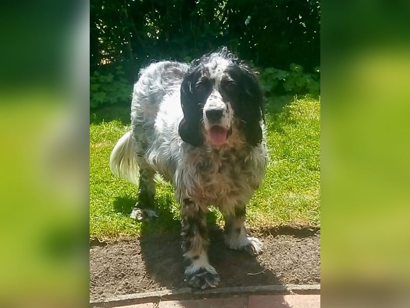 Fuorimano - Alles verloren, außer der Hoffnung auf einen Neuanfang