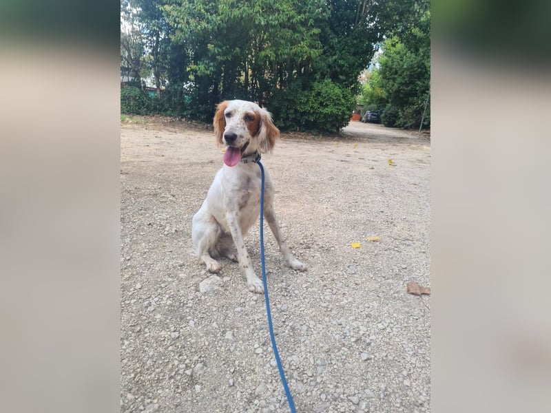 Annette - ein sanftes Huhu!