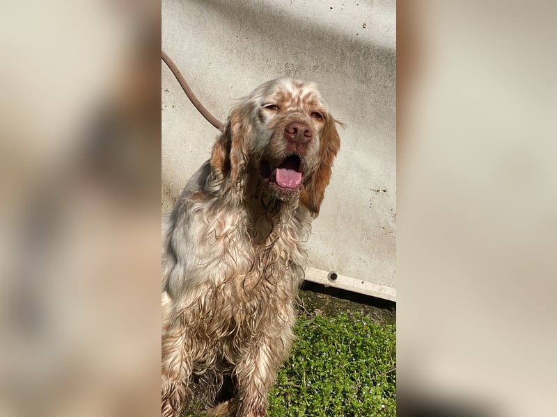 Beto - Mehr Braucht man nicht