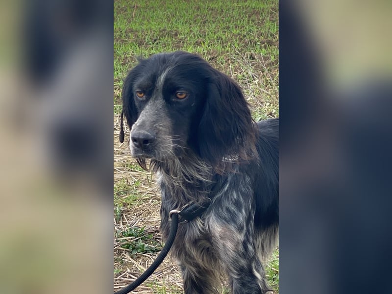 Coca - Zwischen gestern und morgen