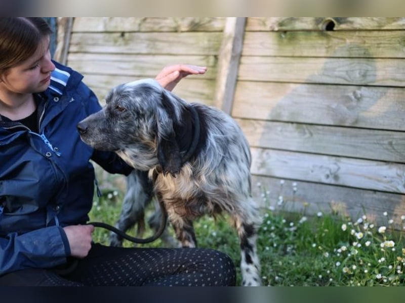 Linda - Und plötzlich kann alles gut werden