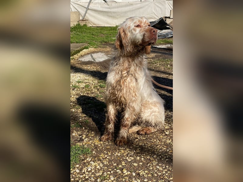 Beto - Mehr Braucht man nicht