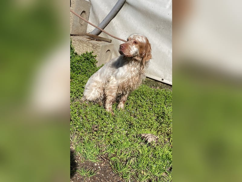 Beto - Mehr Braucht man nicht