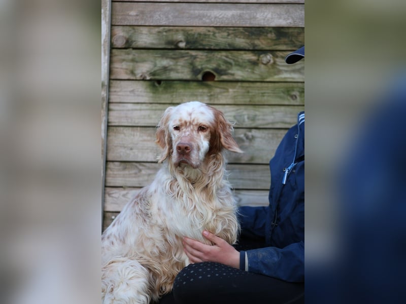 Beto - Mehr Braucht man nicht