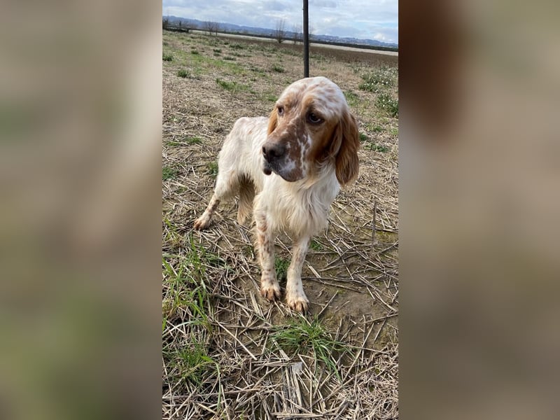 Zak - mitten ins Herz