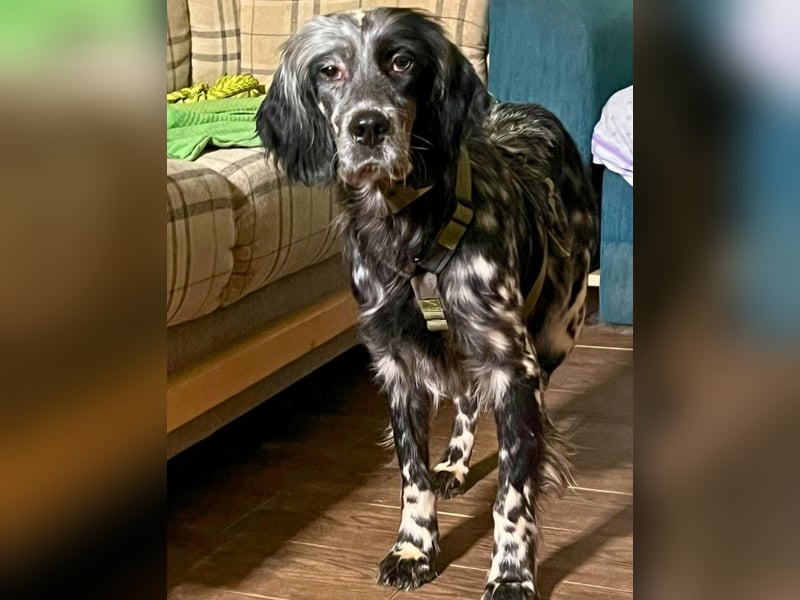 Helvetia - Angst beginnt im Kopf ? Mut auch!