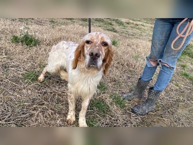 Zak - mitten ins Herz