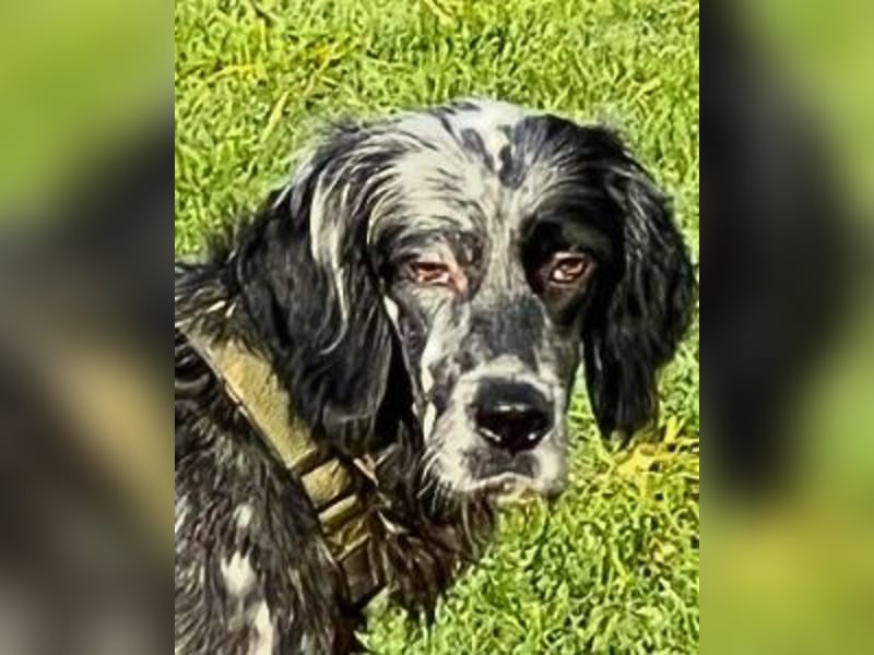 Helvetia - Angst beginnt im Kopf ? Mut auch!