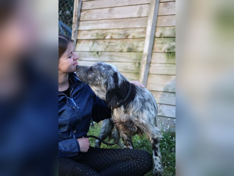 Linda - Und plötzlich kann alles gut werden