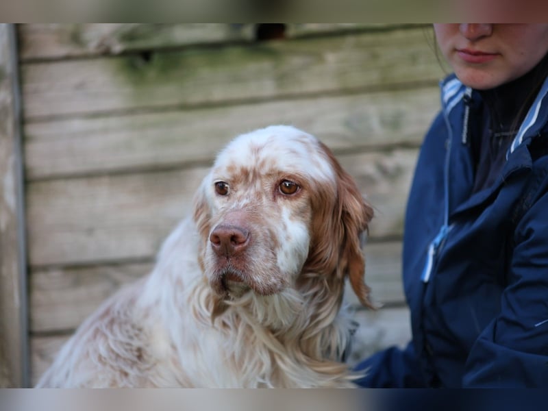 Beto - Mehr Braucht man nicht