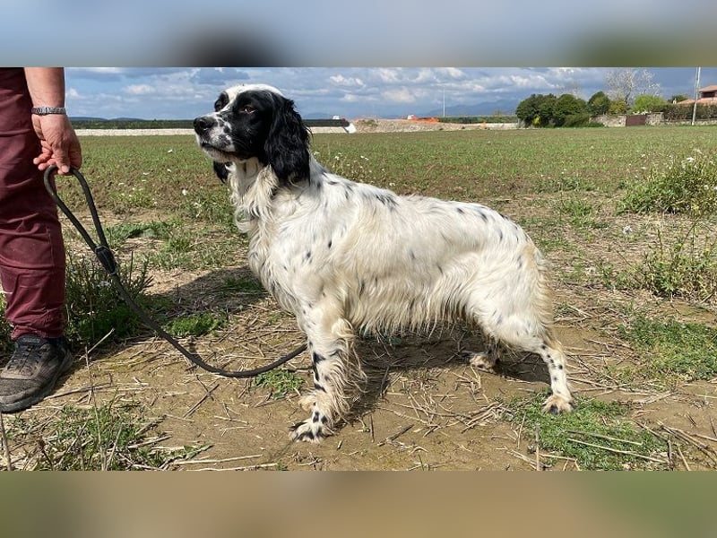 Fola - bereit, die Welt gemeinsam zu entdecken