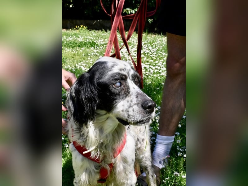 Toby - NOTFALL - Wenn die Welt plötzlich still und dunkel wird