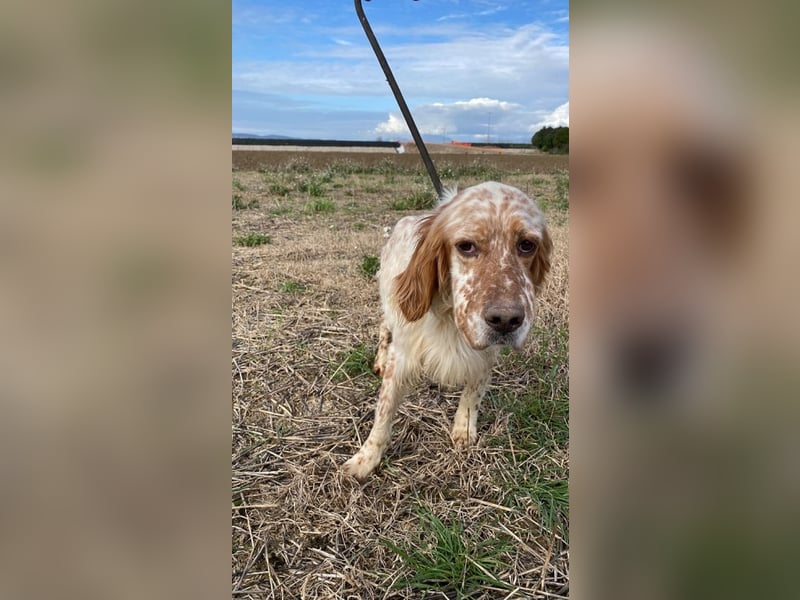 Zak - mitten ins Herz