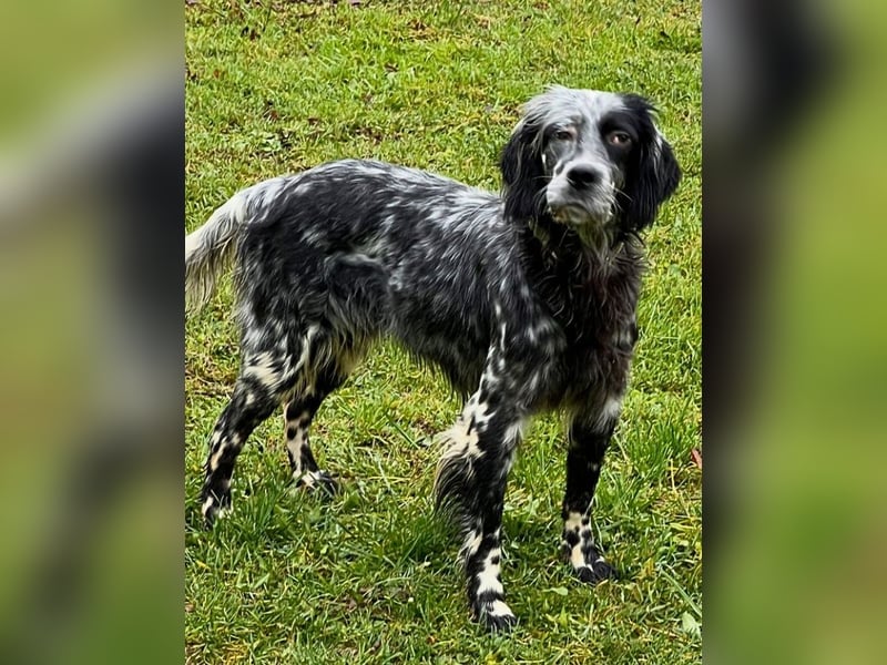 Helvetia - Angst beginnt im Kopf ? Mut auch!