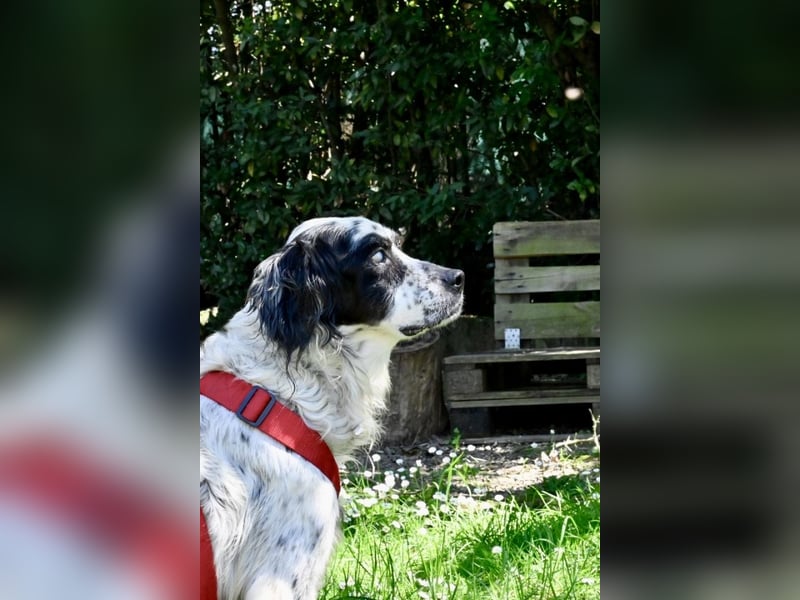 Toby - NOTFALL - Wenn die Welt plötzlich still und dunkel wird