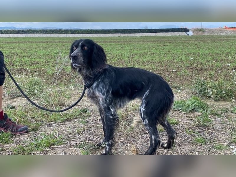 Coca - Zwischen gestern und morgen
