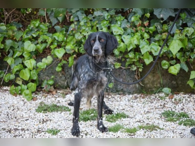 Coca - Zwischen gestern und morgen