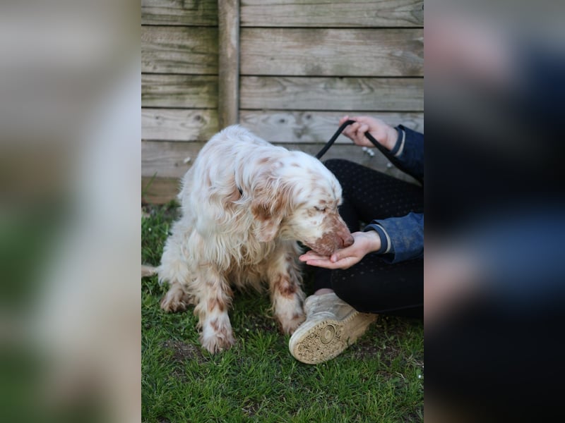 Beto - Mehr Braucht man nicht