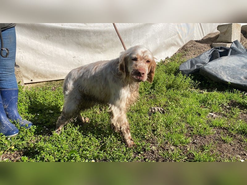 Beto - Mehr Braucht man nicht