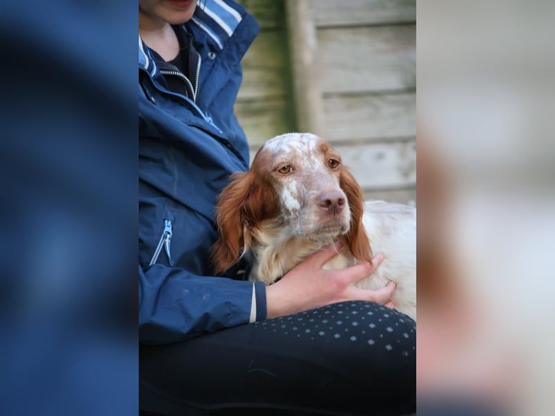 Fiamma - Eine kleine Seele auf großer Reise