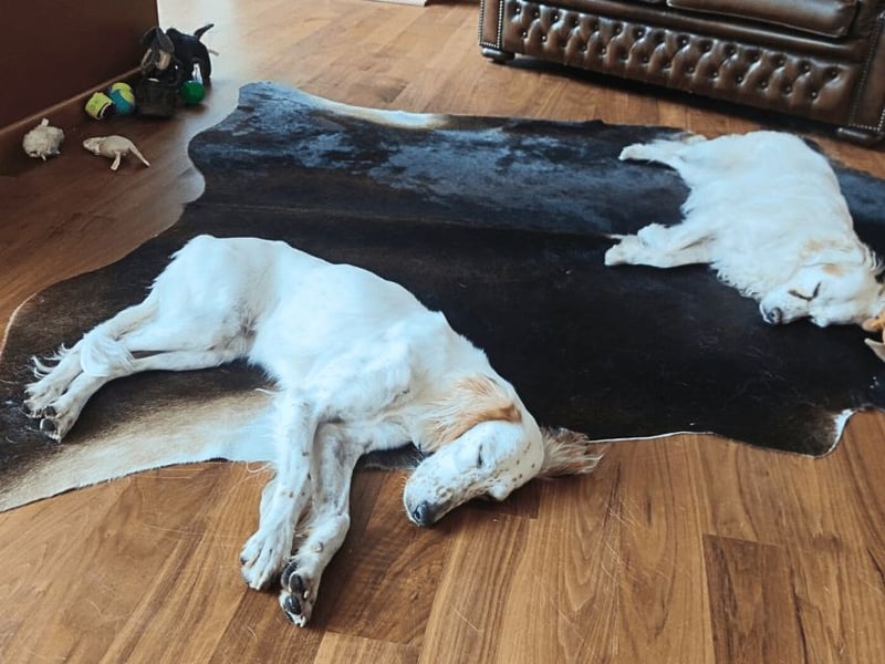 Annette - ein sanftes Huhu!