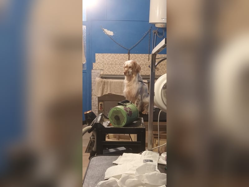 Beto - Eine alte Geschichte, ein neues Kapitel