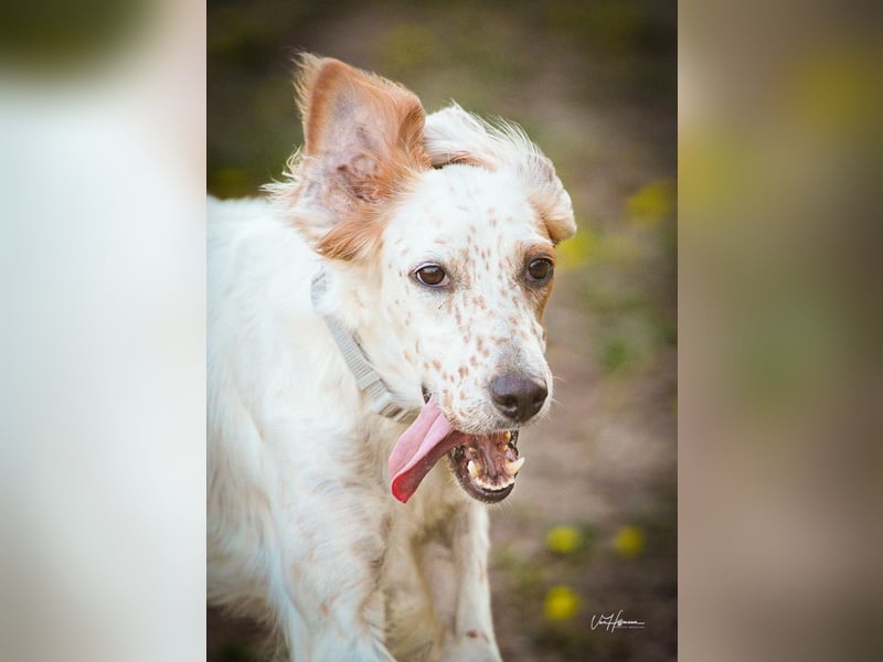 Annette - ein sanftes Huhu!