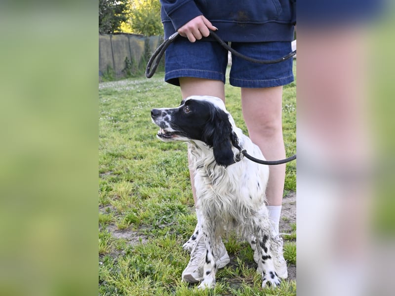 Fola - bereit, die Welt gemeinsam zu entdecken