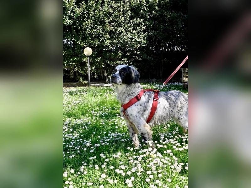 Toby - NOTFALL - Wenn die Welt plötzlich still und dunkel wird